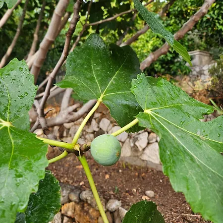 With Jacuzzi&panoramic Views In Prestigious El Rosario, Casa vacanze Marbella