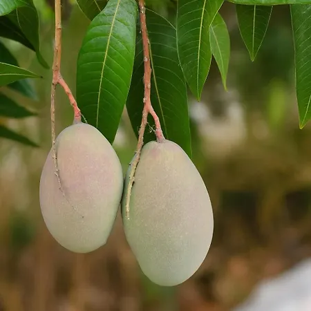 With Jacuzzi&panoramic Views In Prestigious El Rosario, Marbella