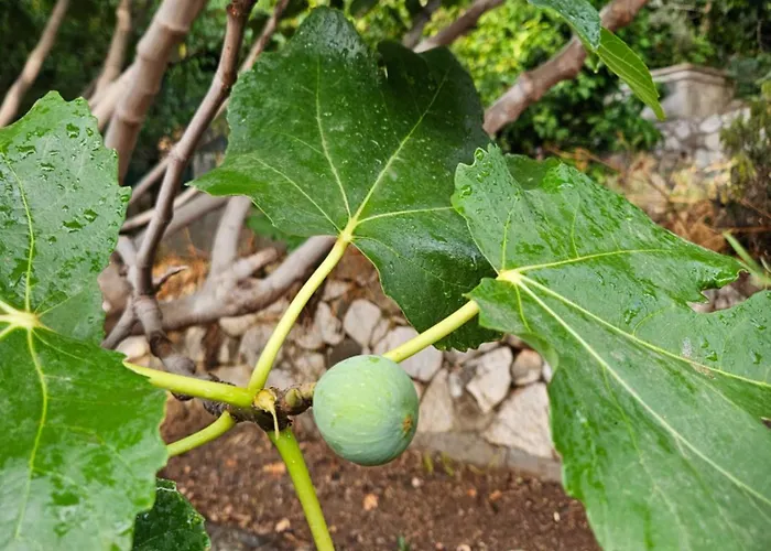 With Jacuzzi And Panoramic Views In Prestigious El Rosario, Nyaraló Marbella